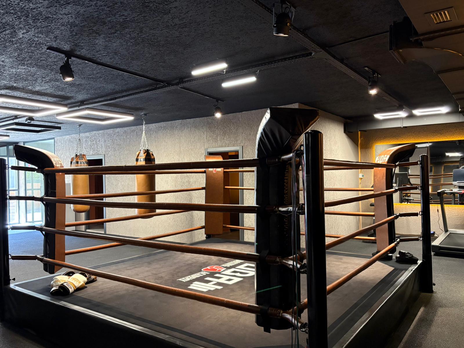 UBA Boxing Academy Hakkında